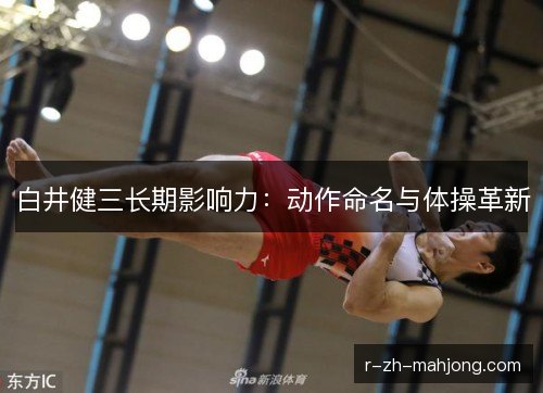 白井健三长期影响力：动作命名与体操革新